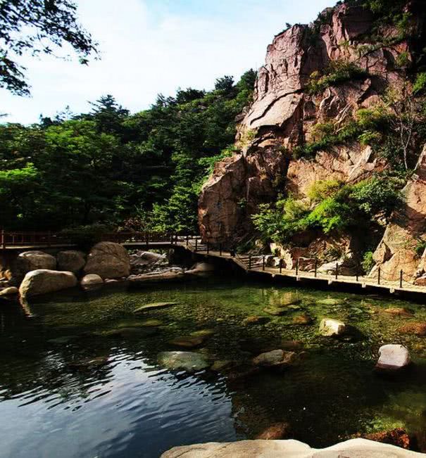 【崂山二龙山风景区】二龙山是崂山国家森林公园履地,景区内古树参天