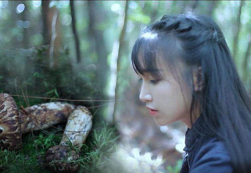 网红李子柒身世曝光,你绝对不知道的秘密