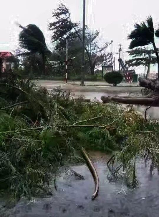 十四级台风登陆芽庄, 现场如灾难片, 游客