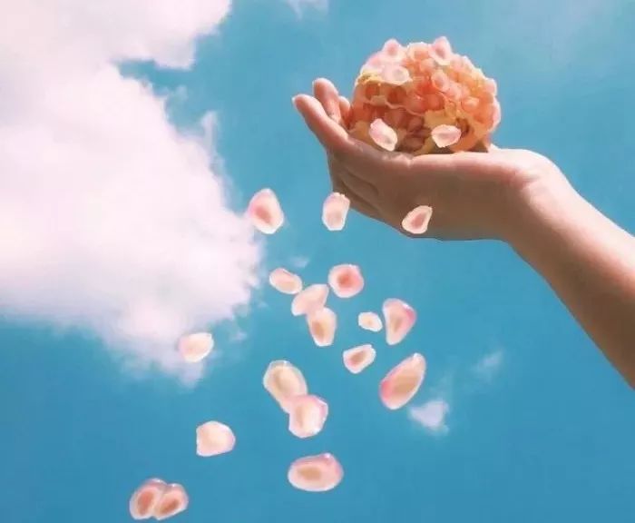 超甜情话合集,撩动你的少女心