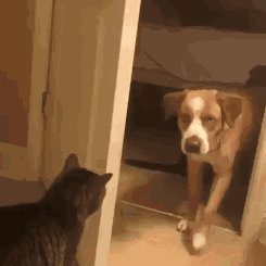 就是想确认下你还活着吗!