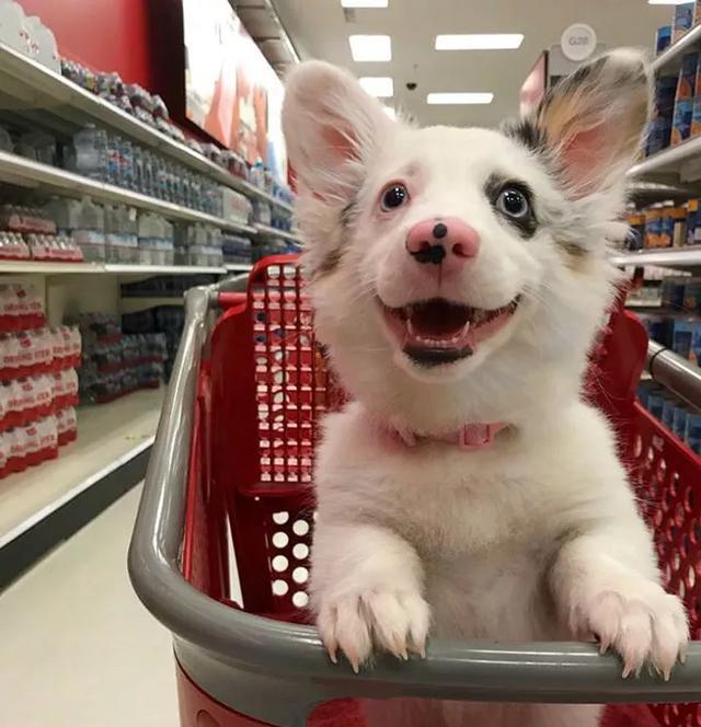 宝宝睡觉总是踢被子,他真的不怕冷吗?其实原因