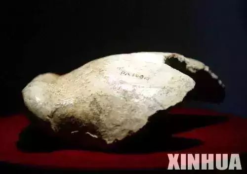 中国人种之谜: 纯种汉族人消失了吗?