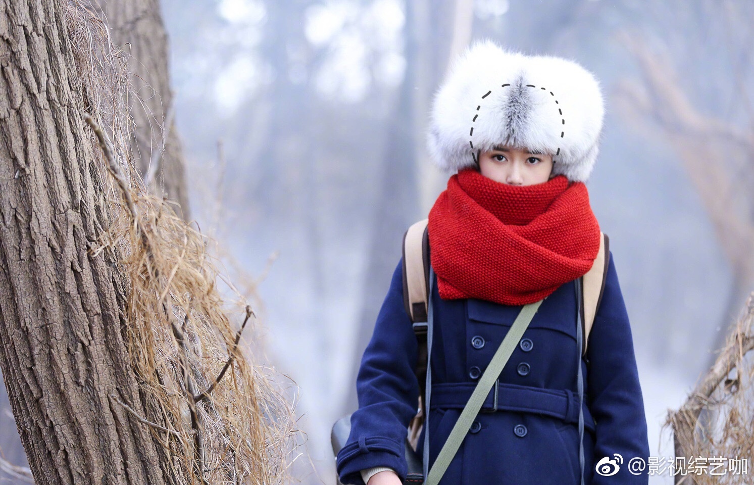 热雪少年探寻自然励志大剧《天坑鹰猎》演员