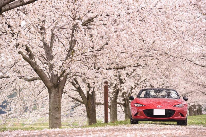 正如空气悄悄地来，只负责搞破坏——全新马自达MX-5空力解说！