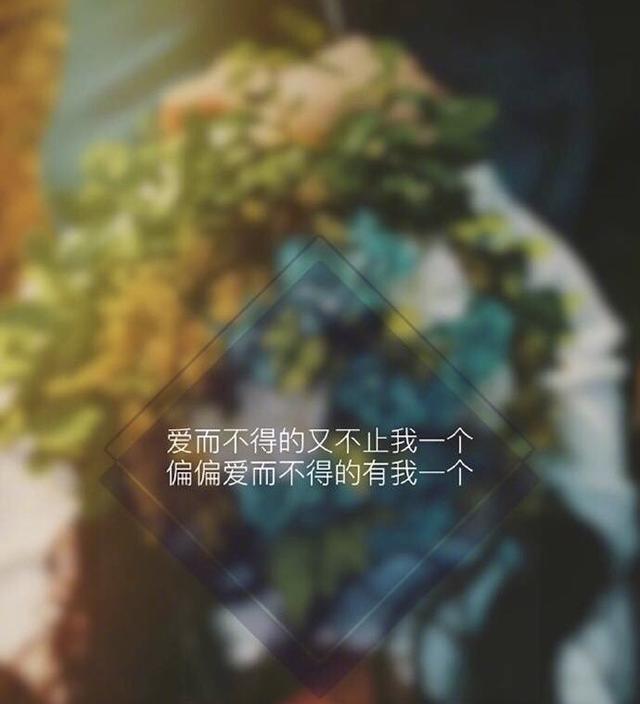 爱而不得的又不止我一个 偏偏爱而不得的有我一个