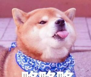 略略略表情包|略略略动态表情包