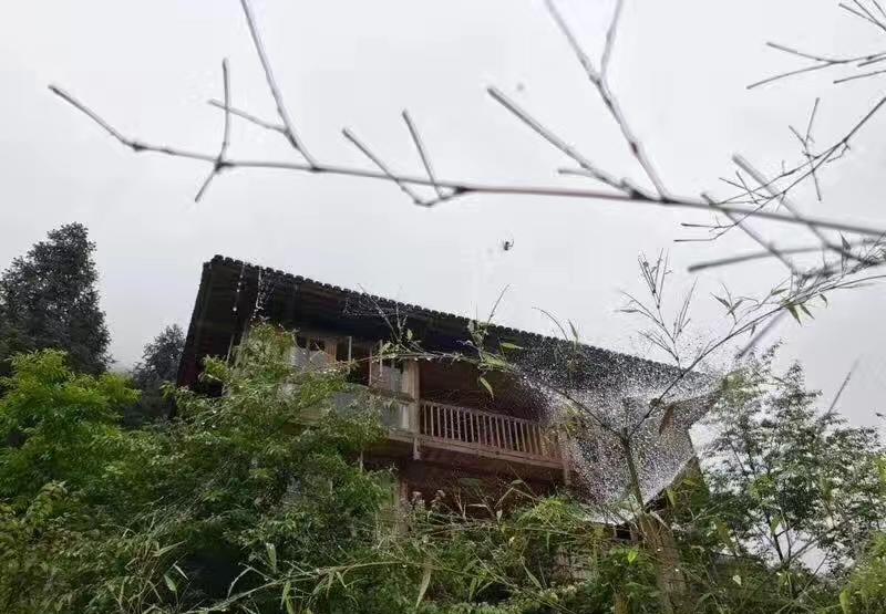 人在广东已经漂泊十年 .拥挤的回忆时间已抹去