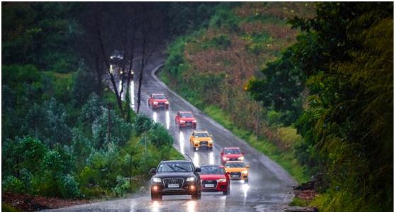 看！一只壁虎在漫步！