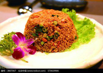 酱油酿造中的主要微生物