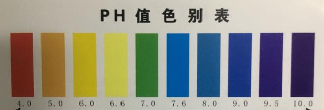 真实评测，5款净水壶究竟谁能过滤干净水？