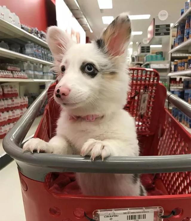 宝睡觉总是踢被子,他真的不怕冷吗?其实原因很