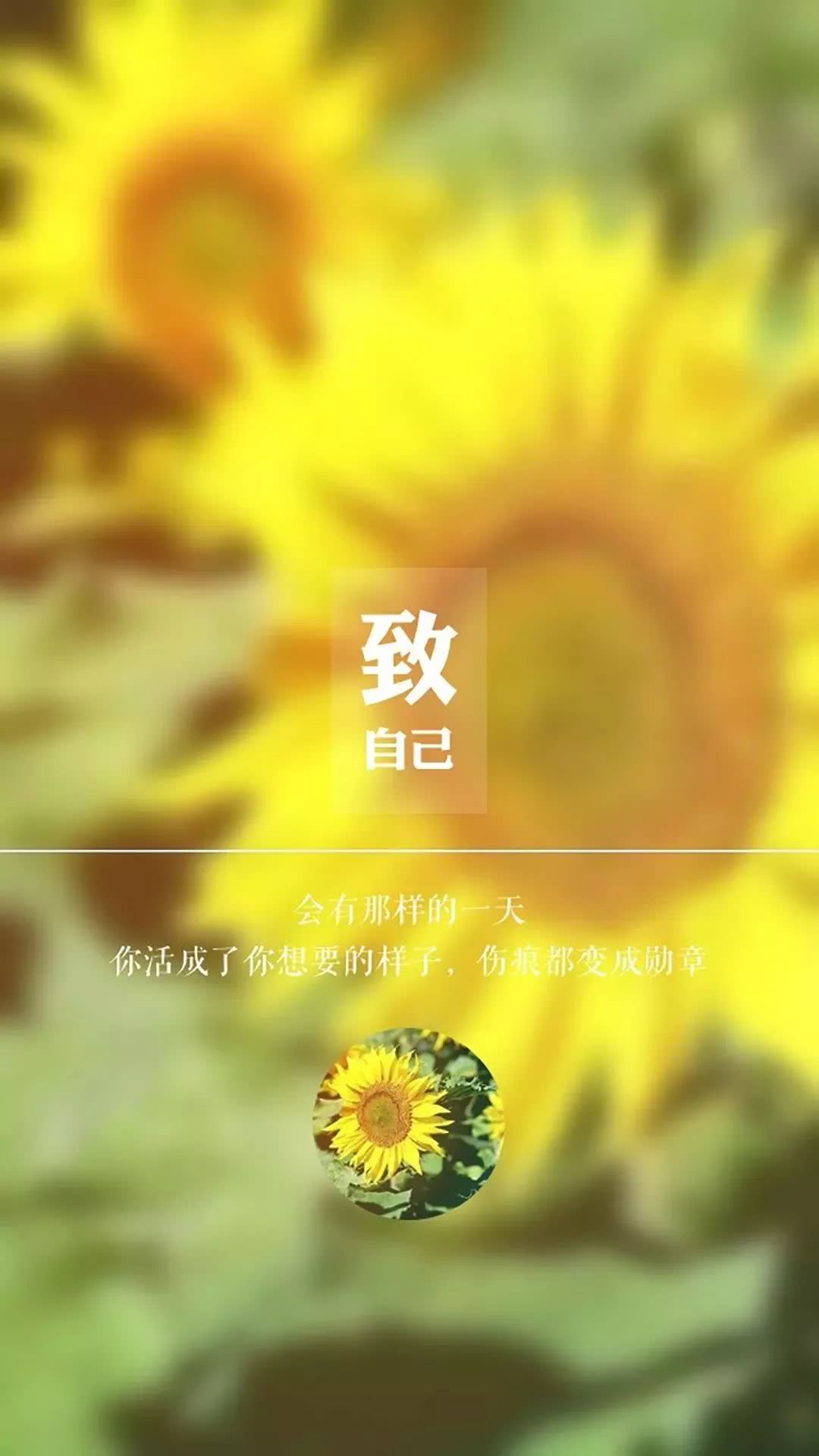 文字美图致自己