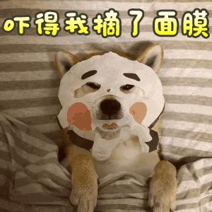 前后空气悬架+轻混系统，道奇公羊全新一代皮卡还是工具车吗？