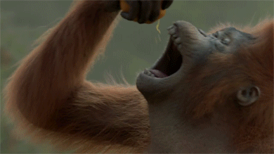 搞笑gif图:姑娘身体好柔软呀,她系个鞋带也太任性了!