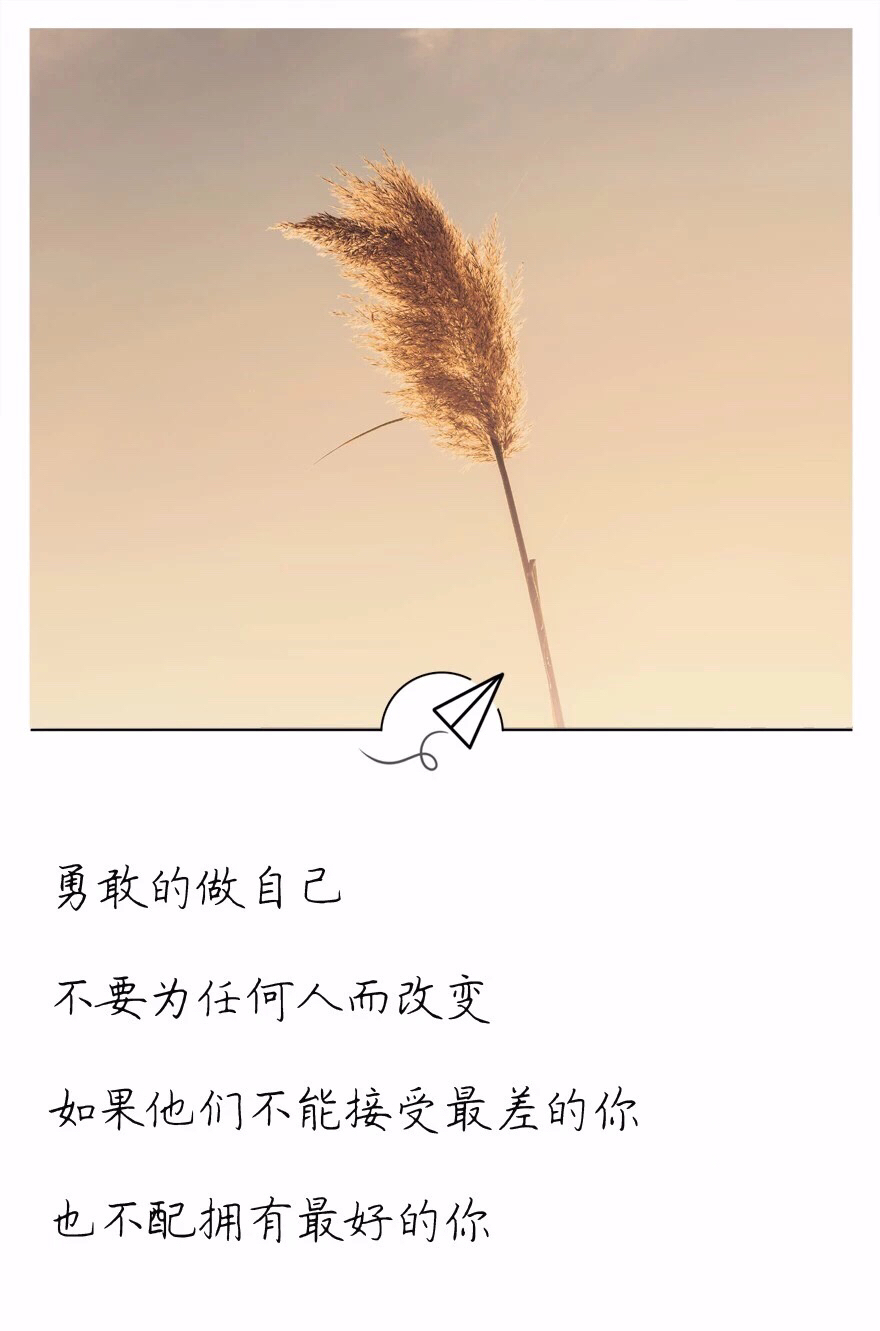 做自己的 新浪网