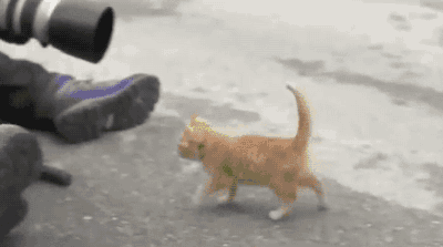 400_223gif 动态图 动图