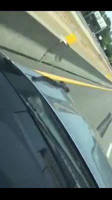 蛇也喜欢坐车兜风，幸亏开的不是敞篷车，有点吓人  ​