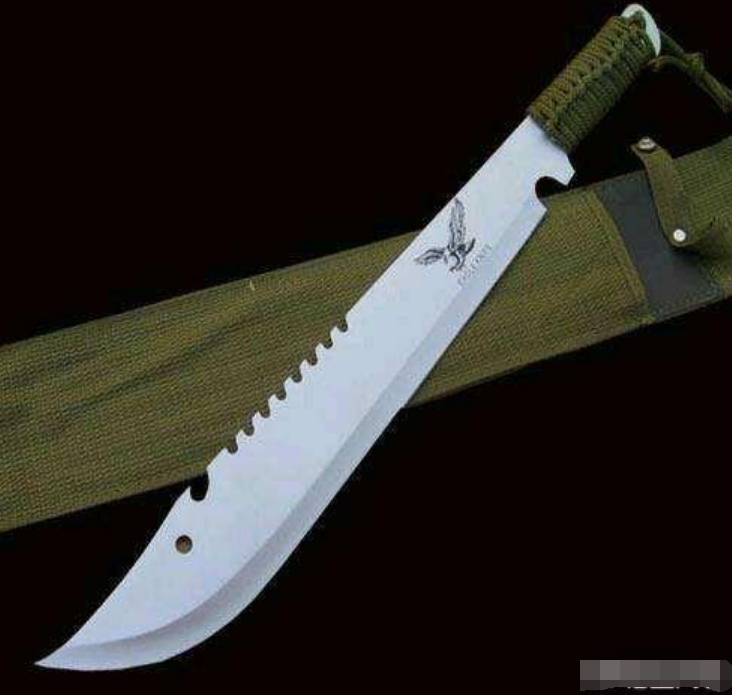 昆山宝马男龙哥为什么随身带刀呢?