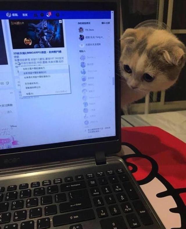 主人专心玩电脑忘记了陪自家的猫咪,猫咪竟然这样做?
