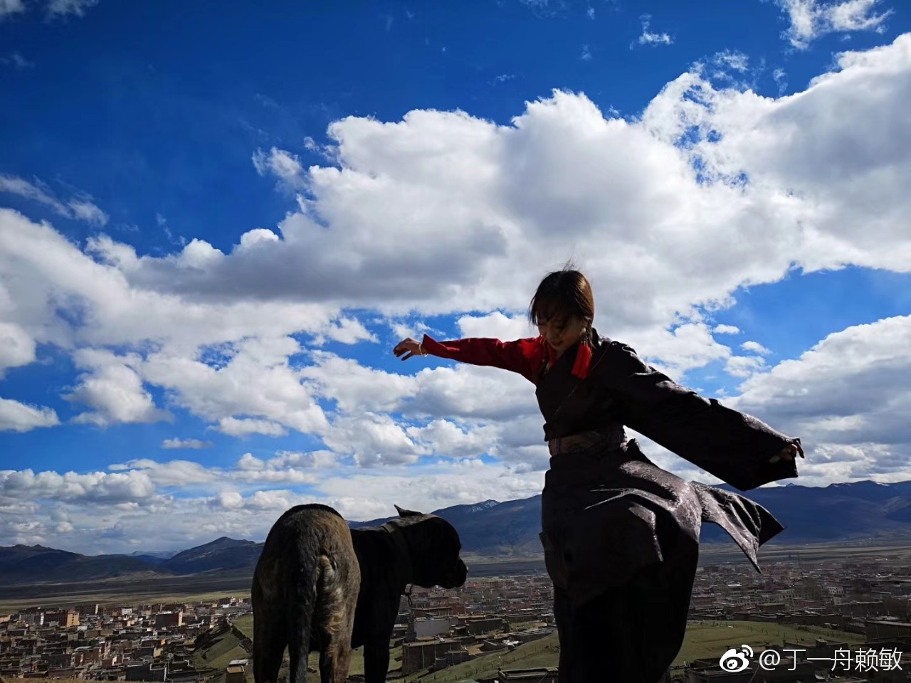 请不要再拉低养狗人的素质,狗是没有错的。错