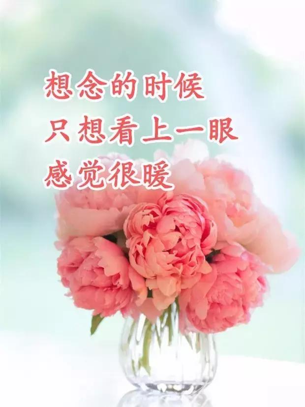 最美祝福送给你,祝好运吉祥幸福