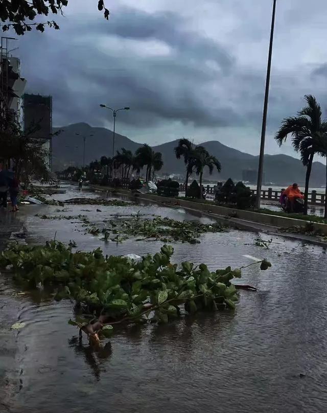 十四级台风登陆芽庄, 现场如灾难片, 游客