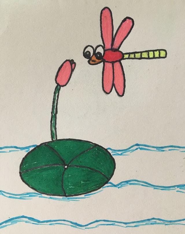 简笔画——小荷才露尖尖角,早有蜻蜓立上头
