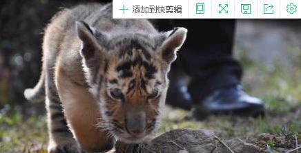 一个走出黑龙江吸粉 一个来到黑龙江卖萌 玩不起还扬沙子