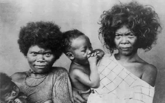 怀着憧憬研究了一下日本的牛郎店,结果受了惊