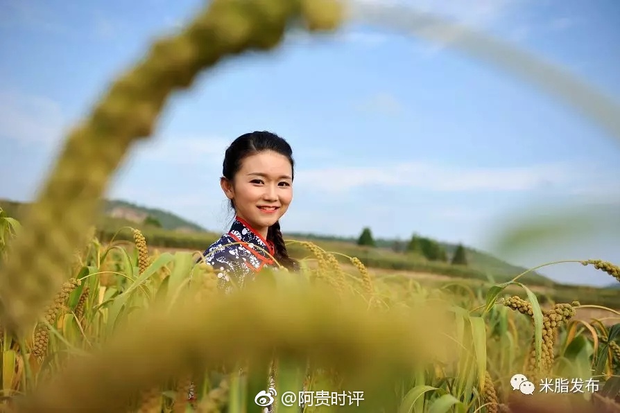 米脂小米入选央视国家品牌计划--广告精准扶贫