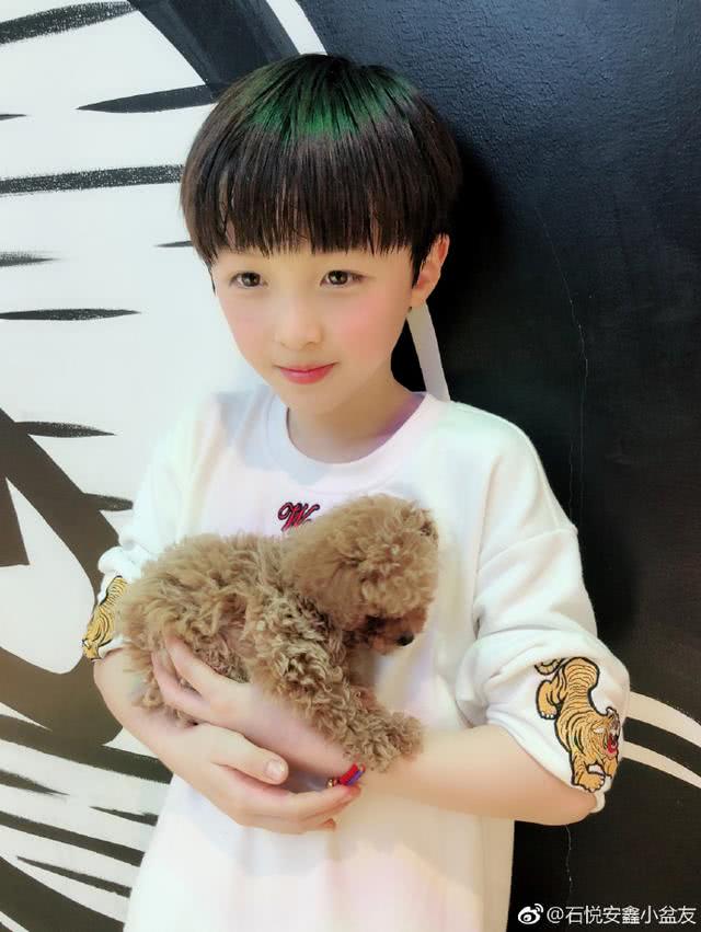 石悦安鑫|芈月传|出道_新浪新闻