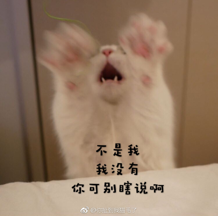 分享一组大佬表情惹不起惹不起表情包新春狗年动画a表情图片
