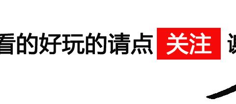 5月自主轿车销量前四，其中一款你绝对想不到！