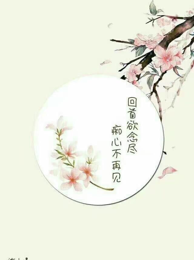 始于心动,止于心痛