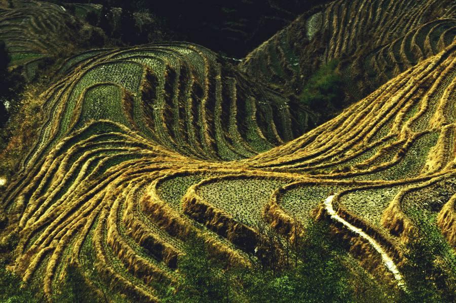 中国特色!人与自然最美的结合,只有在中国才能看到的风景