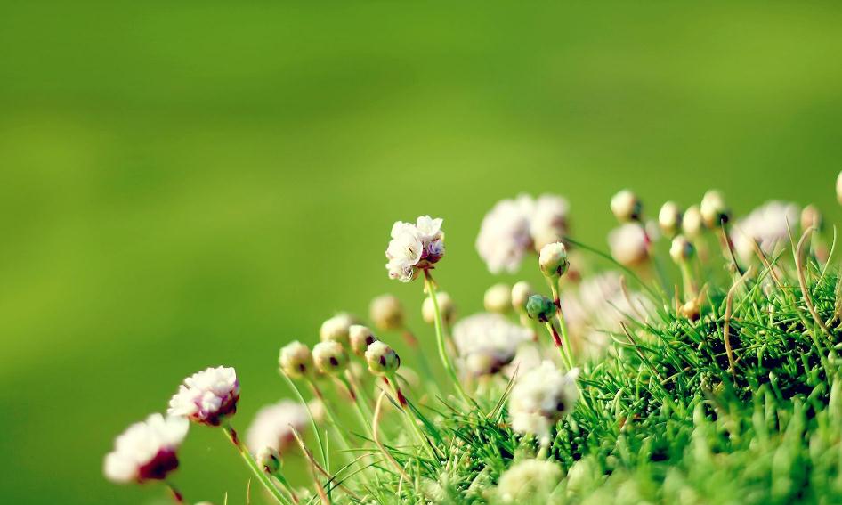 非常精辟的句子:熬住,你就赢了!