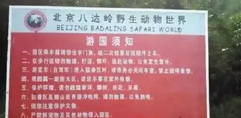 八达岭老虎伤人案庭审结束,"理性人"应该对自己的行为