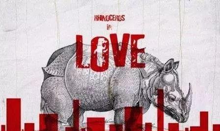 恋爱的犀牛图片