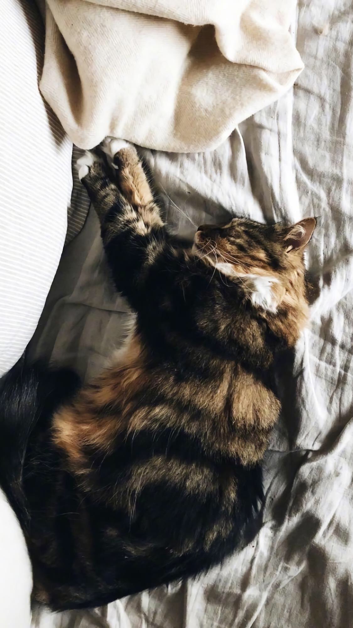 高度不够,看到的都是问题;格局太小,纠结的都是