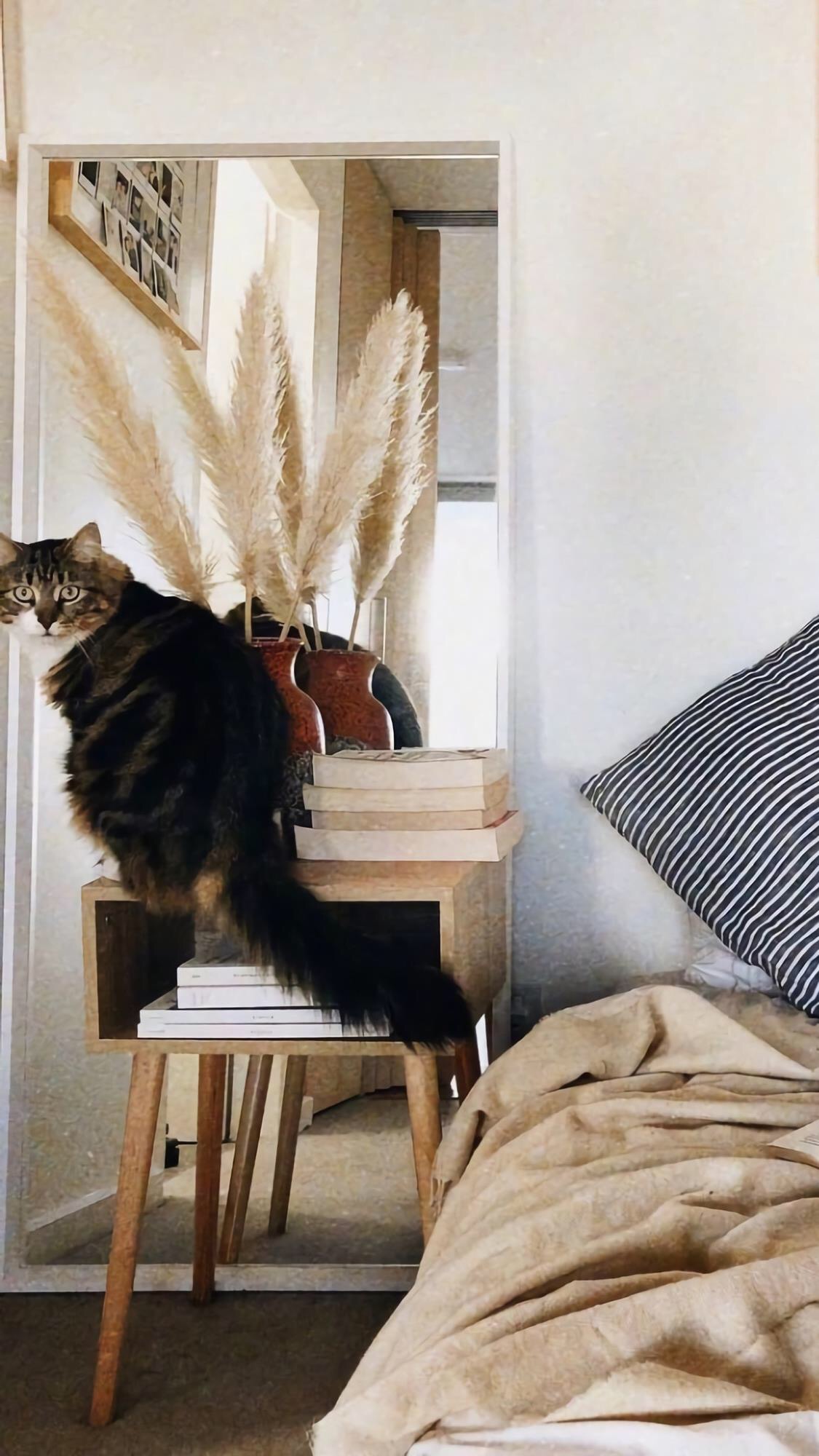 高度不够,看到的都是问题;格局太小,纠结的都是