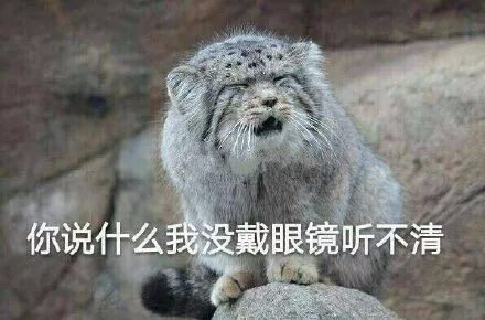 现在买不起房，就多买两套！这个神逻辑背后是什么样的真相？