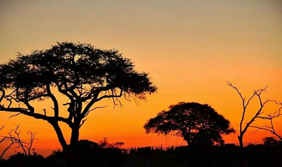 津巴布韦狂野之旅:的这辈子一定要去一次非洲