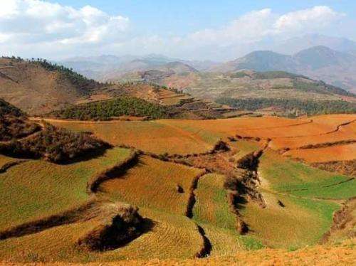 2018继承法新规: 多出这一项可继承的财产, 越