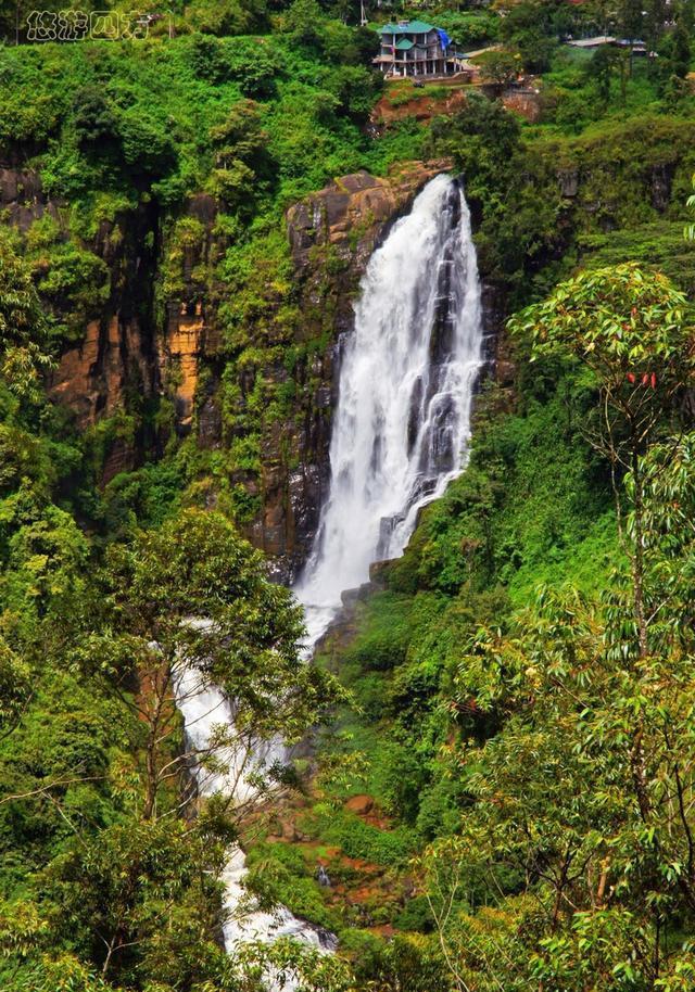 世界上最好的红茶产地原来在这里! 茶好, 风景