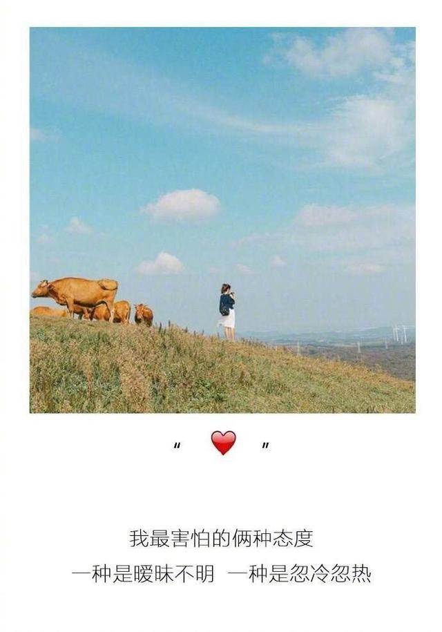 有谁能说说收藏的东西