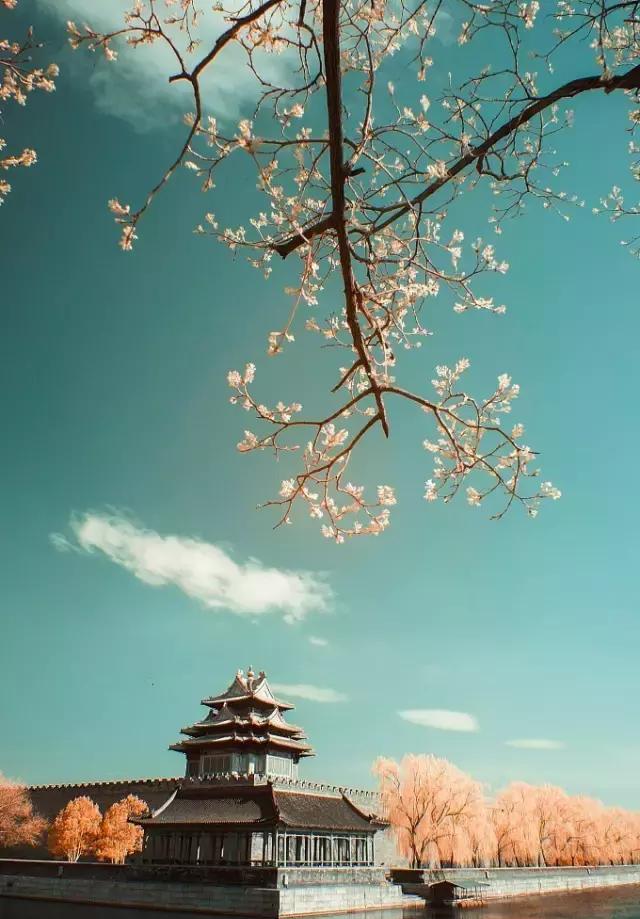 北京的景色一拍就是壁纸
