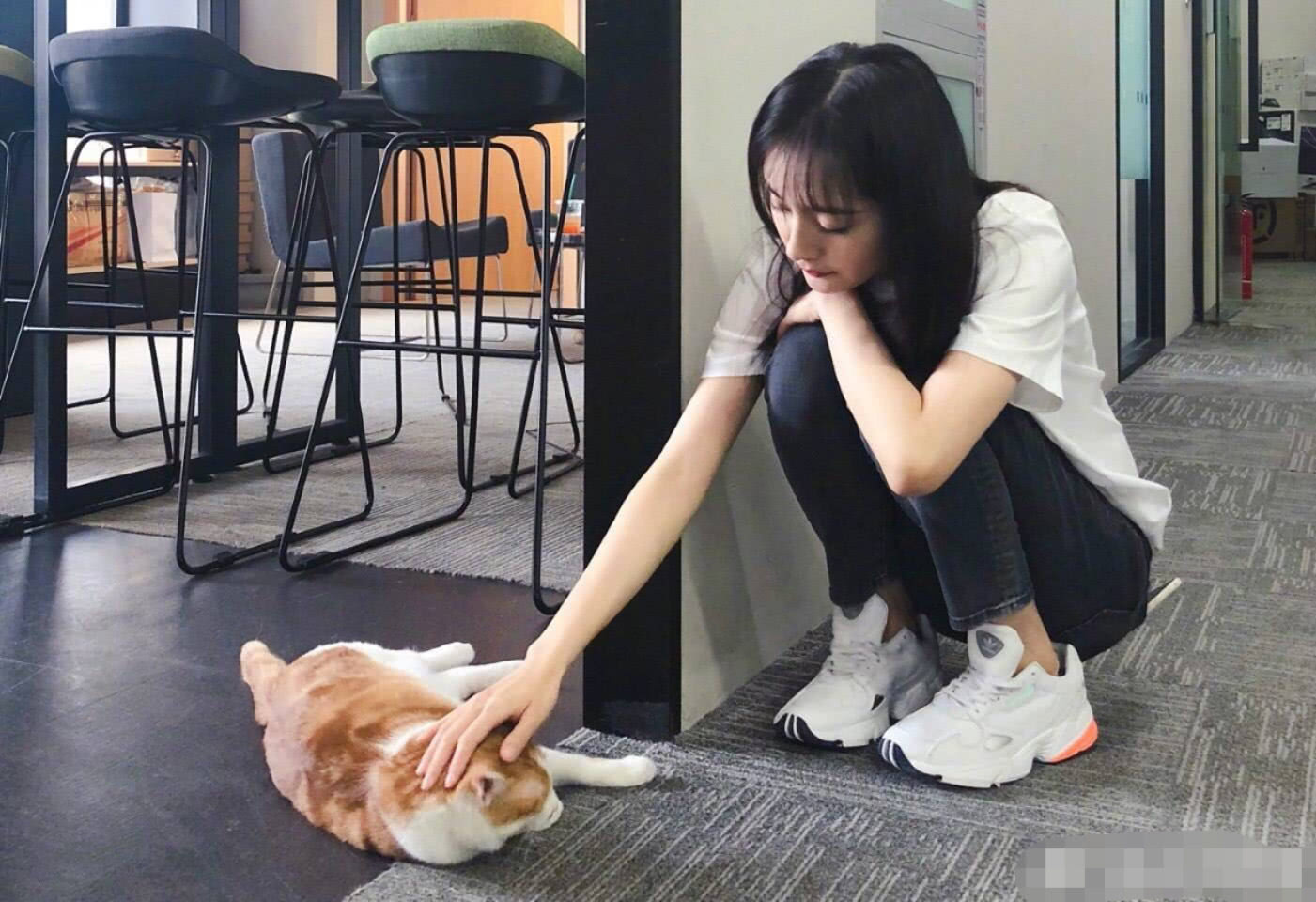 不秀孩子改秀猫?杨幂蹲地逗猫如邻家少女,却又