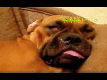 再比如这样,梦里吃东西, 嚼啊嚼,嚼啊嚼