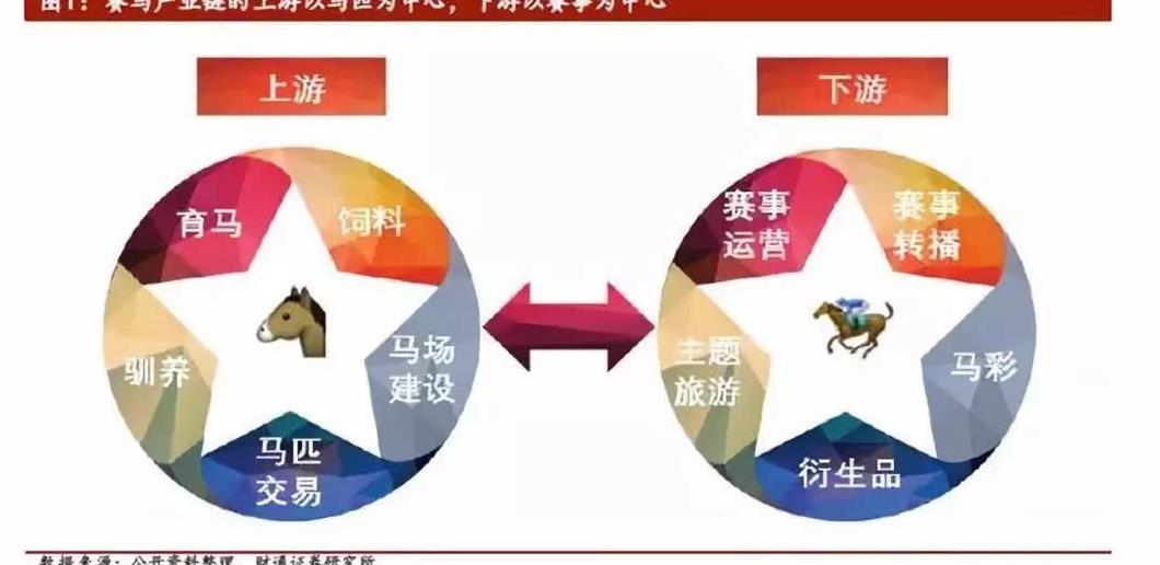 海南叫停赛马登记 千亿产业刚开赛就要被停